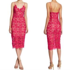 NWT Bardot Tayla Lace Dress Beetroot Size 6